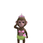 @L1ZZYSV1BE