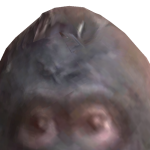 SFMEduardo