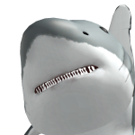 @Senkuchan21senpai