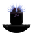 not_nixn