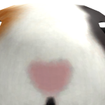 @StoopidCherry