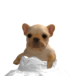 @Unicornpuppy89713