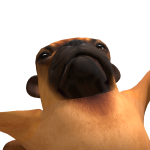 @tanke258