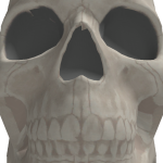@MasterRoblox_77x