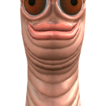 @Shell_Bert