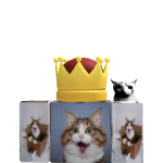 @pusskukitten