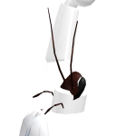 @marshmellow_noob521