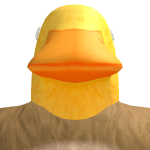 steijnd