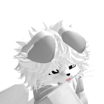 surffz Roblox avatar