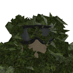@LanceCommandant