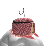 @rainwbounicorn1236