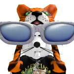 @wilddo12