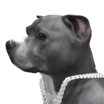 @doghero43