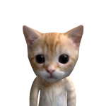 @wora1910