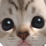 @Raydenlam114