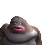 @richminestrikeasher
