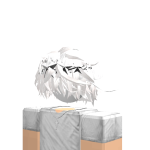 @jerome44448