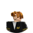 Headshot of roblox_user_1331522459