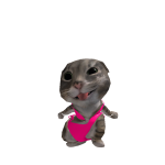 @yaduhhhhhhh