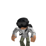 @shayanplayrobo