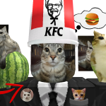 @Drchicken0