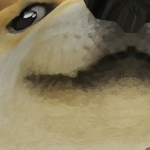 @Doge247790