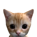 @sunniiswierd