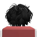 @nishi_ashura