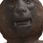 @d0ctorfootball2