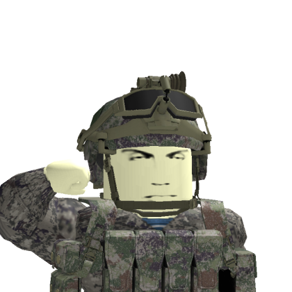Roblox profile picture for @Verllasen