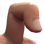 maxwellcharles09