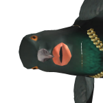 @bubobe2012