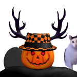 @greyturtle133