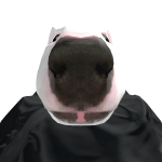 @ThurDev