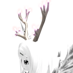 @Mrbog_fly666