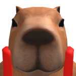Finnypinny543