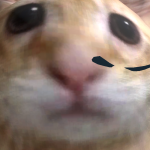 @lmlmhasadog