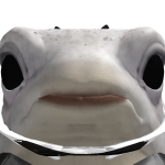 @Nelupus