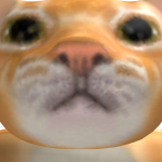 @cbbbbbbdrfrvsdcf