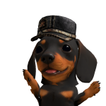 @fiiugis