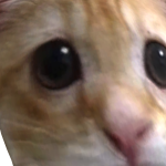 @pitufoemoji