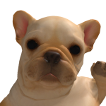 @asfhgsgsh