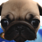 @efrenwatermelon3
