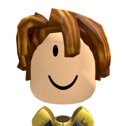 Roblox profile picture for @Sraikuer