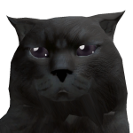 @seacattss