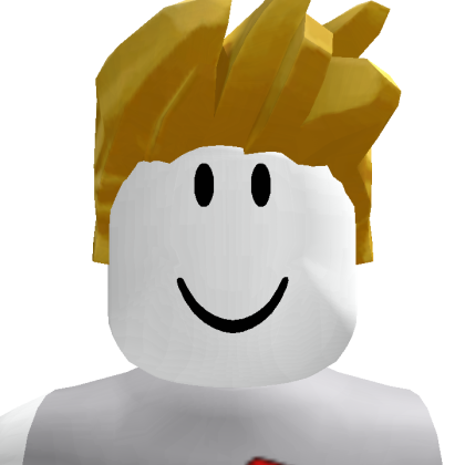 Roblox profile picture for @raimt