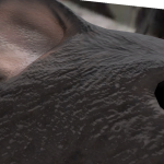 @Ivancool1245903