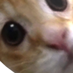 @iiKat_Plays163