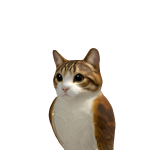 @benjamincorgi