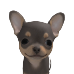 @iluvmypuppi